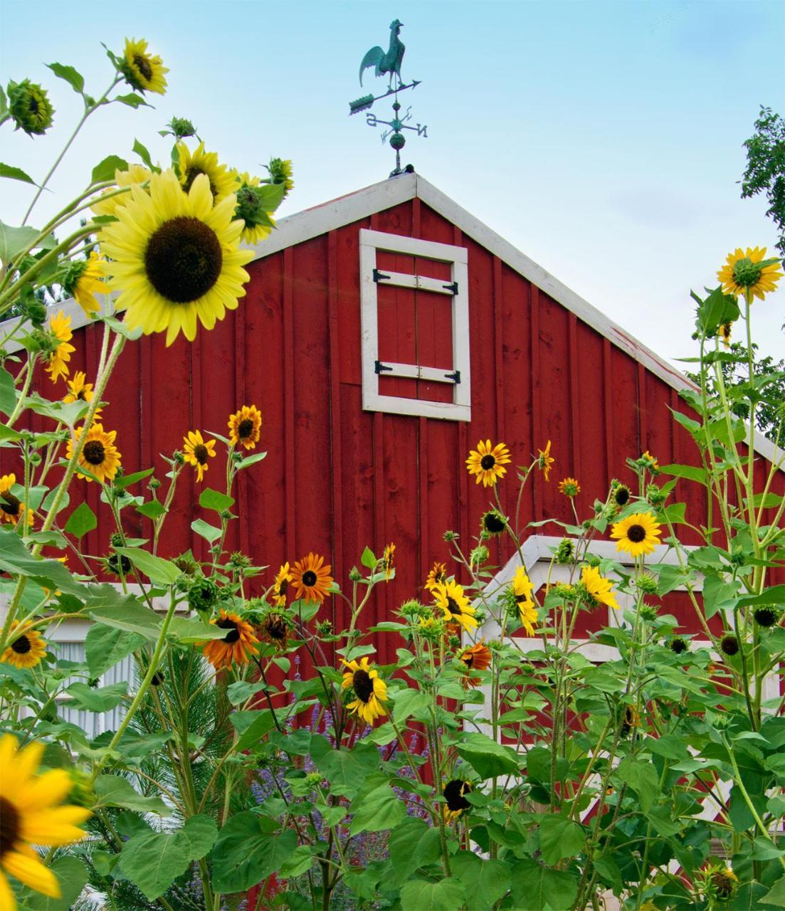 Sunflower Hill Inn Моуаб Екстериор снимка